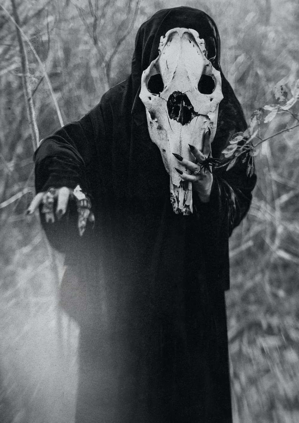 Horror pfp