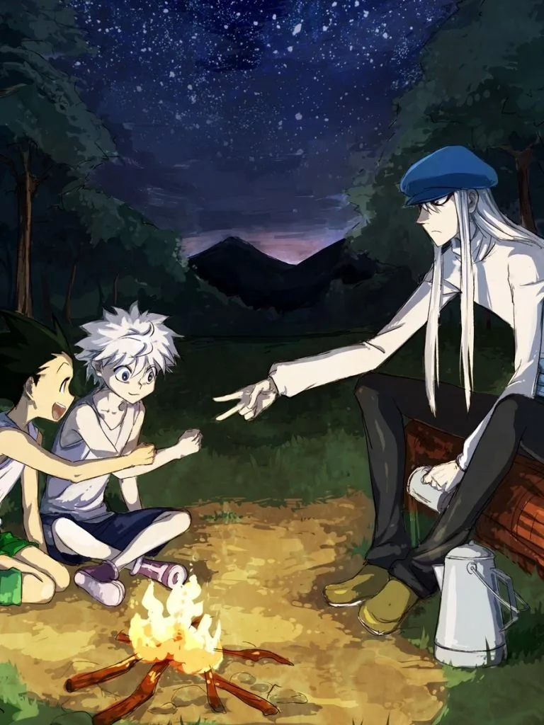 Hunter x hunter pfp