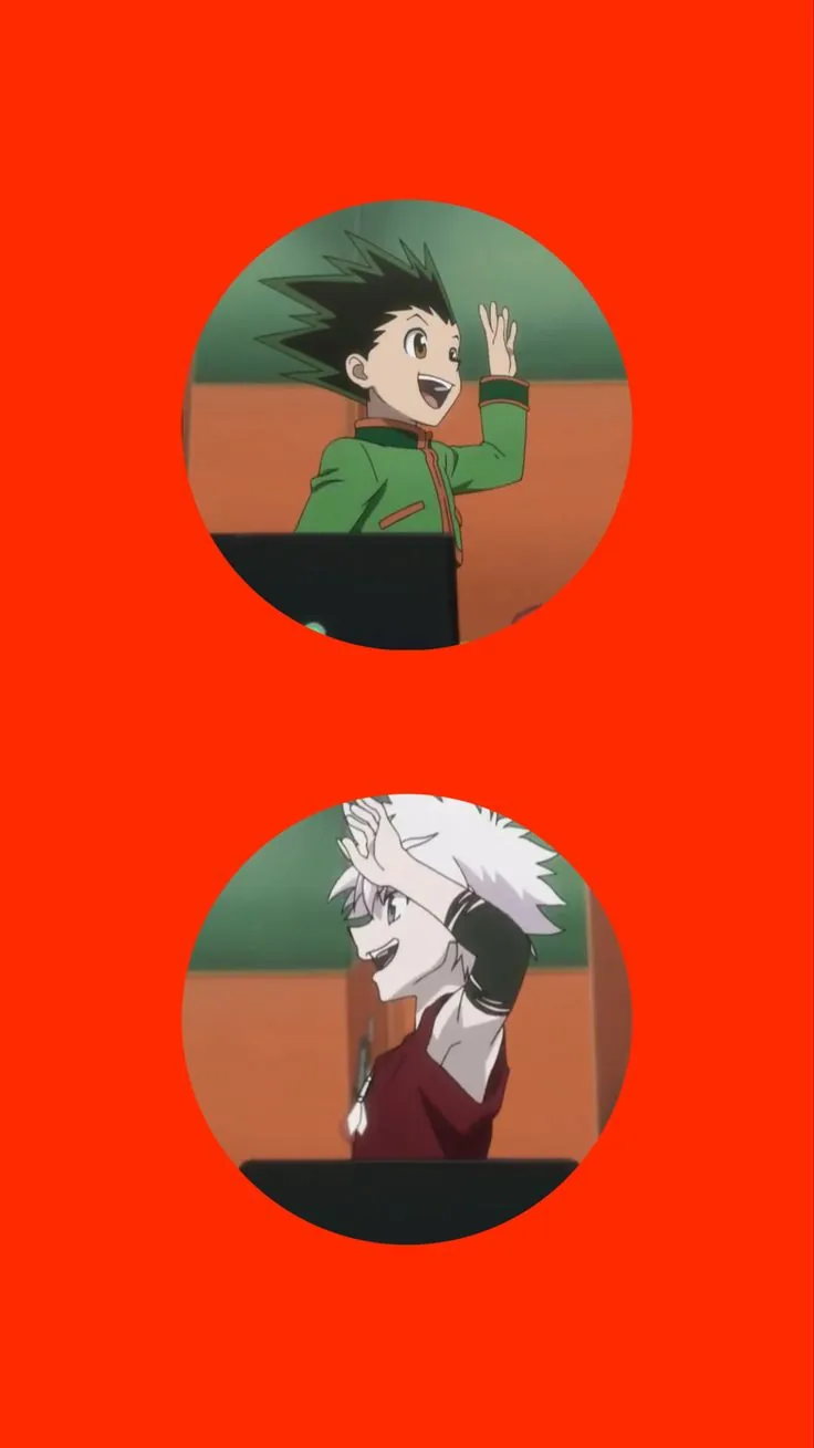 Hunter x hunter pfp