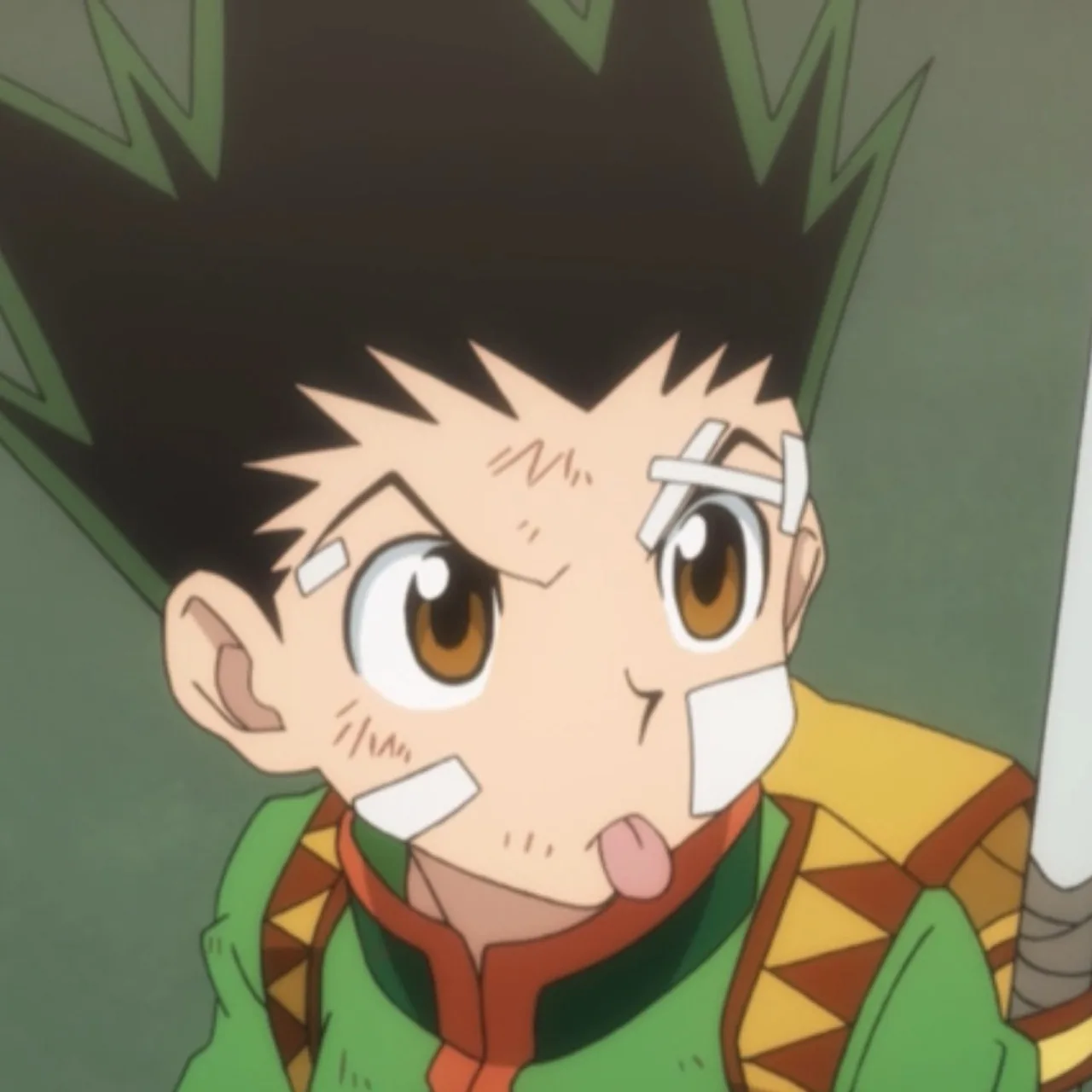 Hunter x hunter pfp
