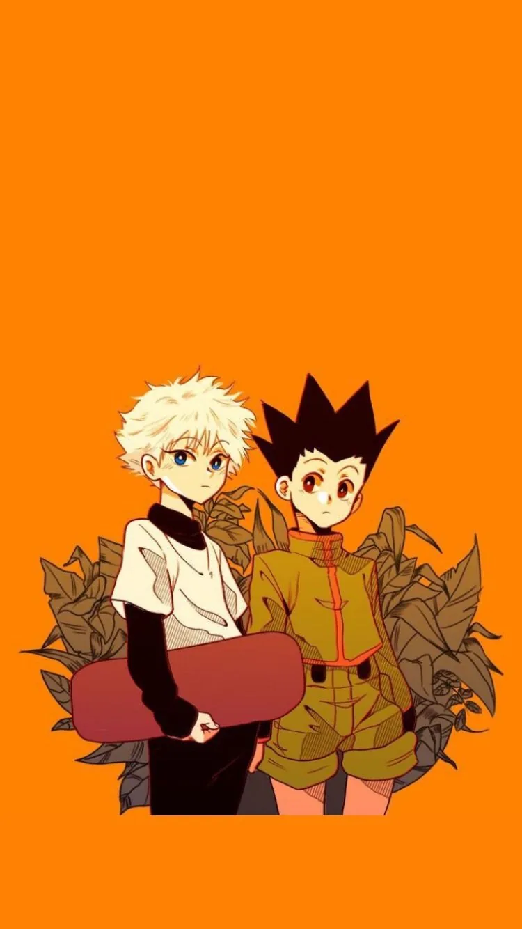 Hunter x hunter pfp