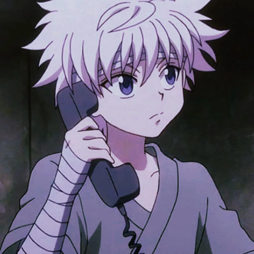 Hunter x hunter pfp