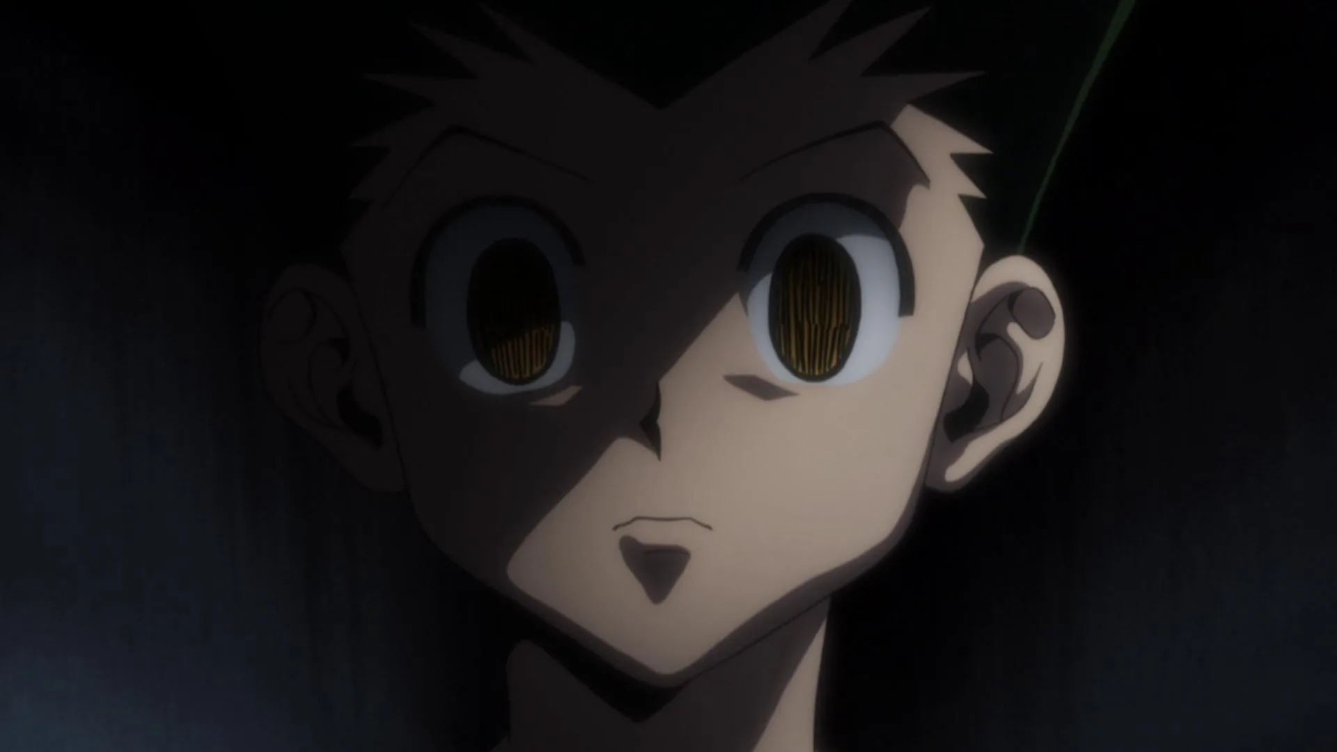 Hunter x hunter pfp