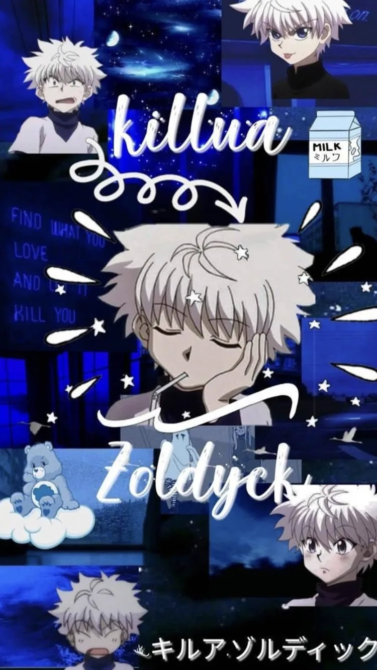 Hunter x hunter pfp