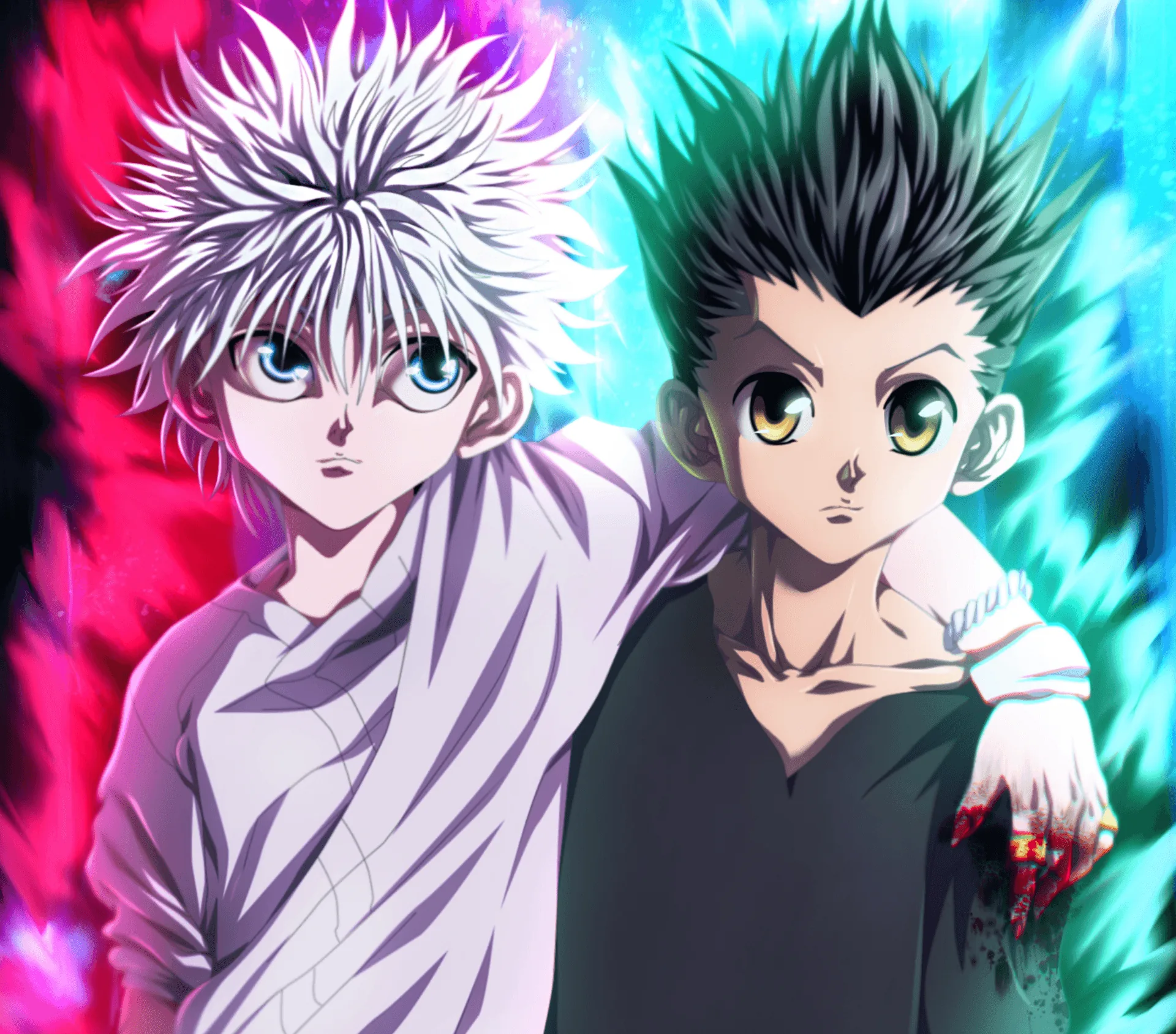 Hunter x hunter pfp