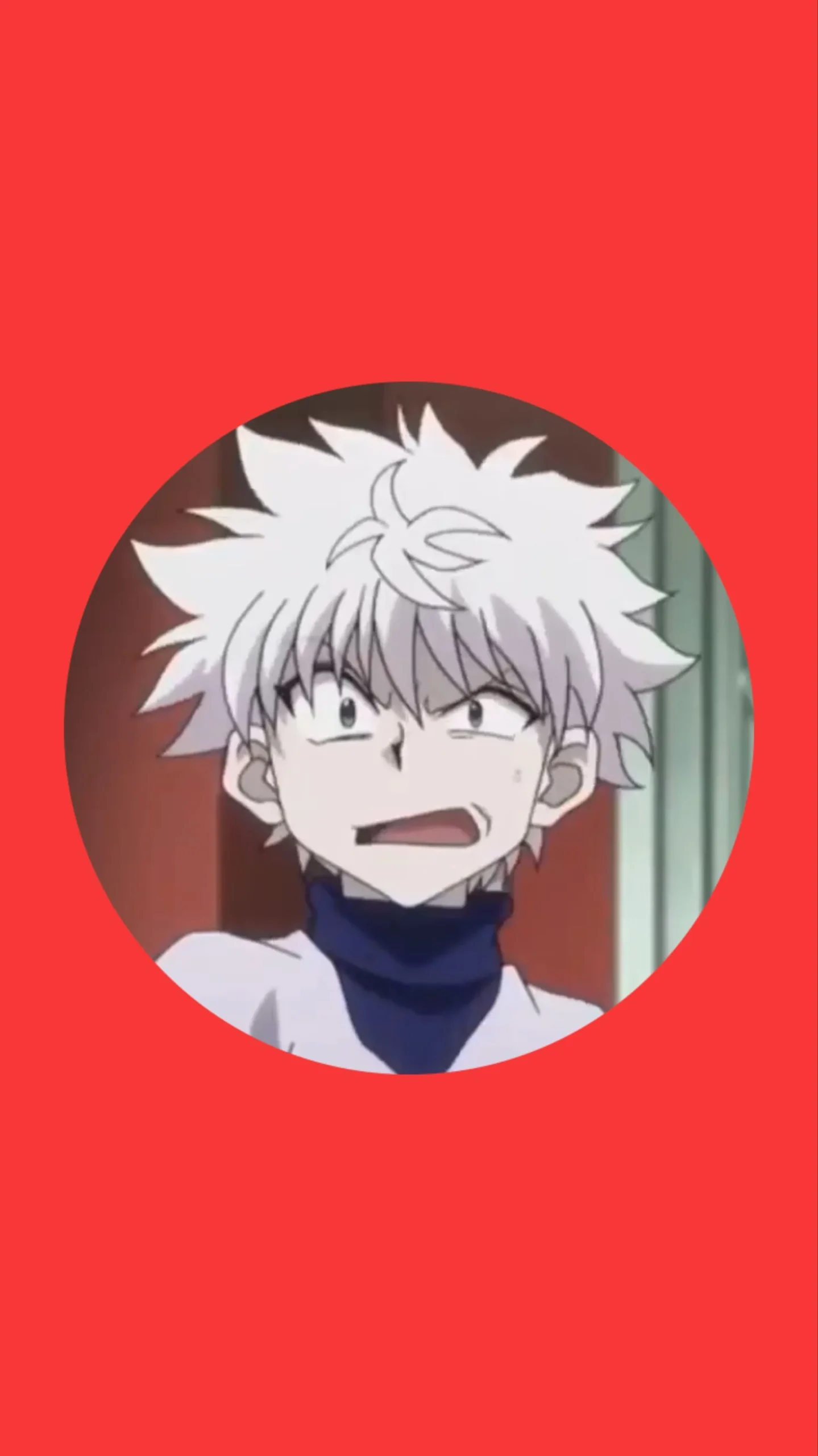 Hunter x hunter pfp