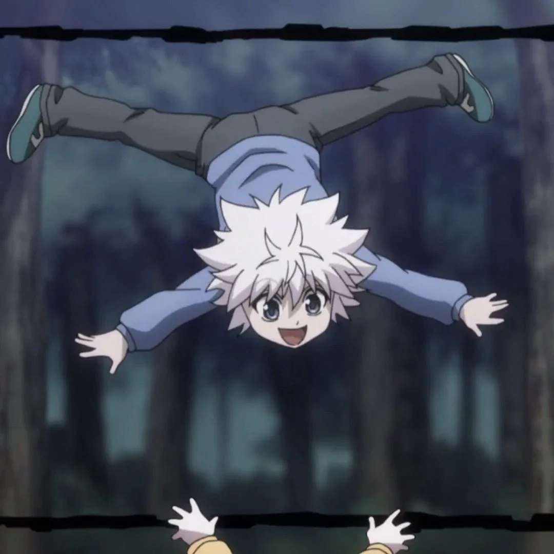 Hunter x hunter pfp