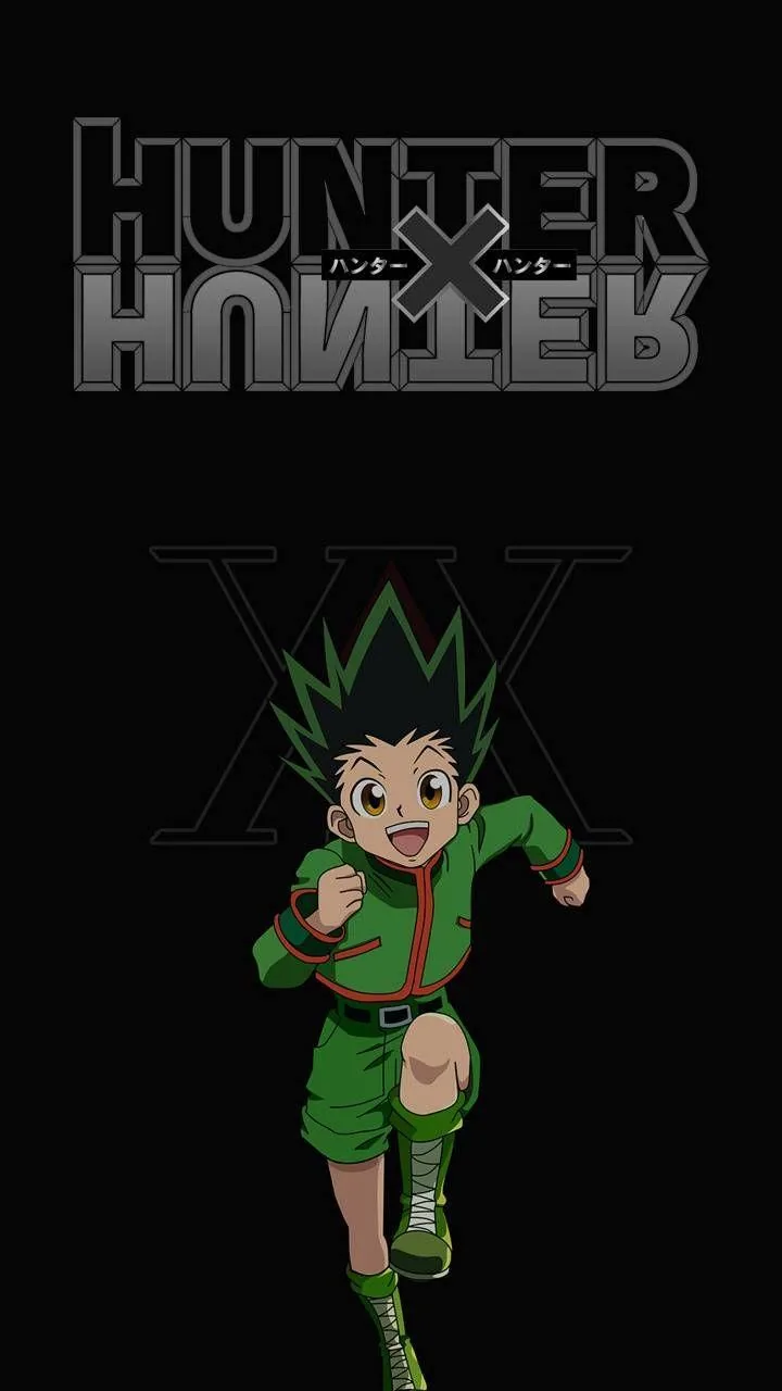 Hunter x hunter pfp
