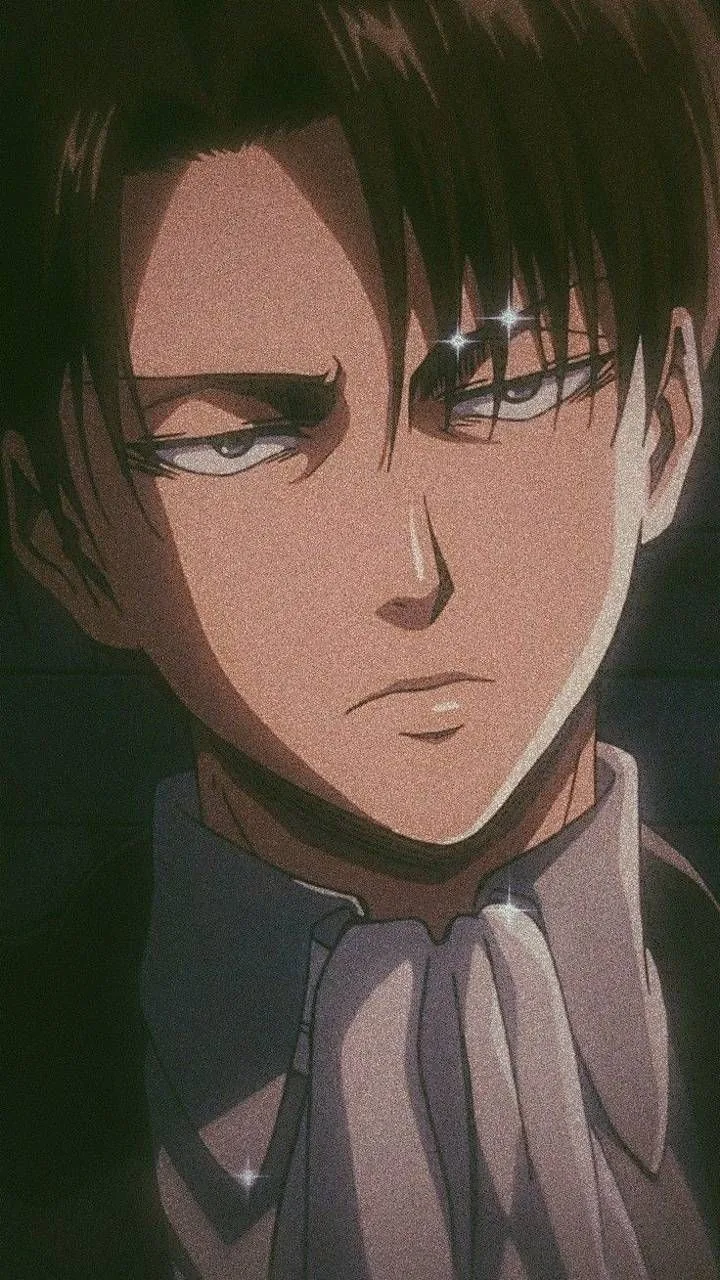 Levi Ackerman Pfp