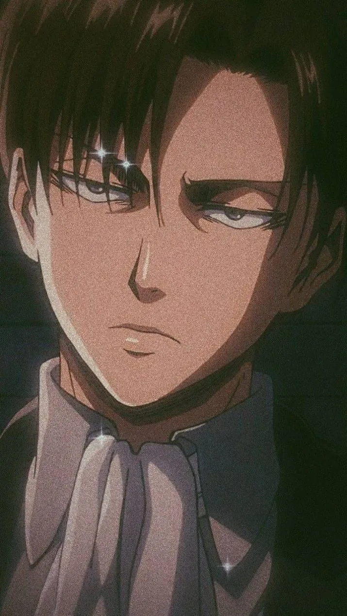 Levi Ackerman Pfp
