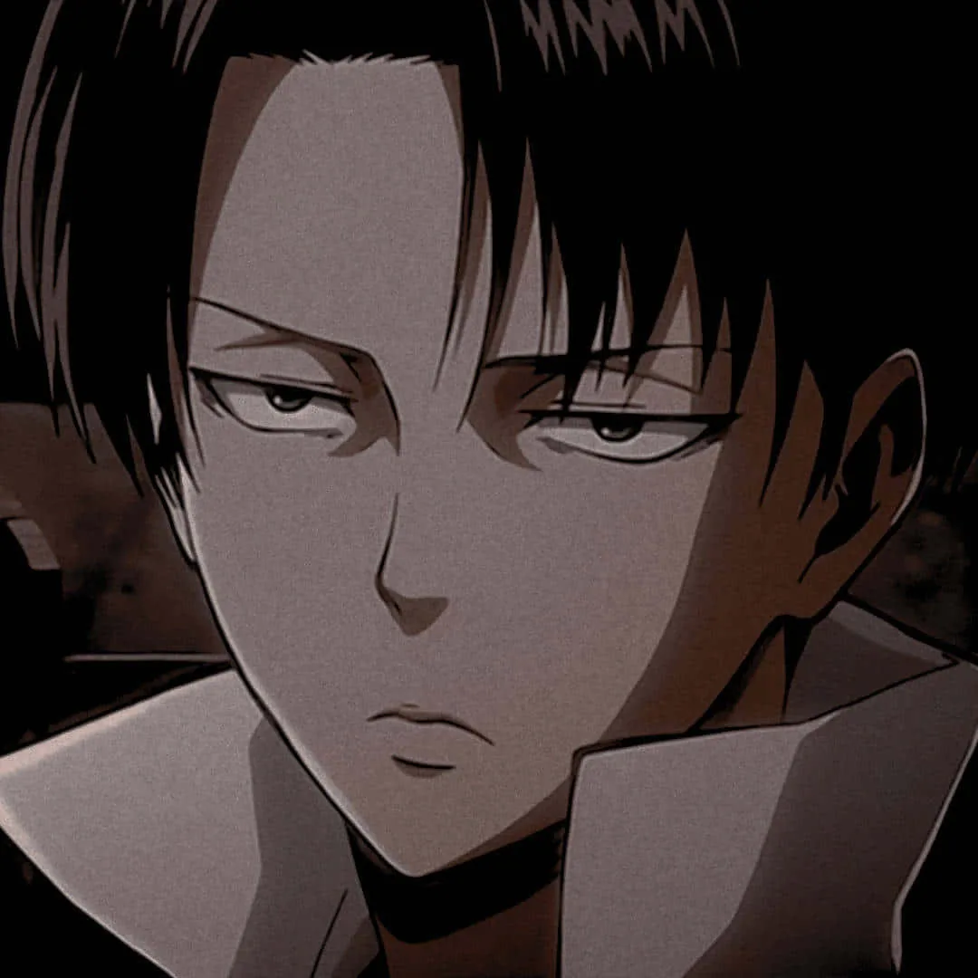 Levi Ackerman Pfp