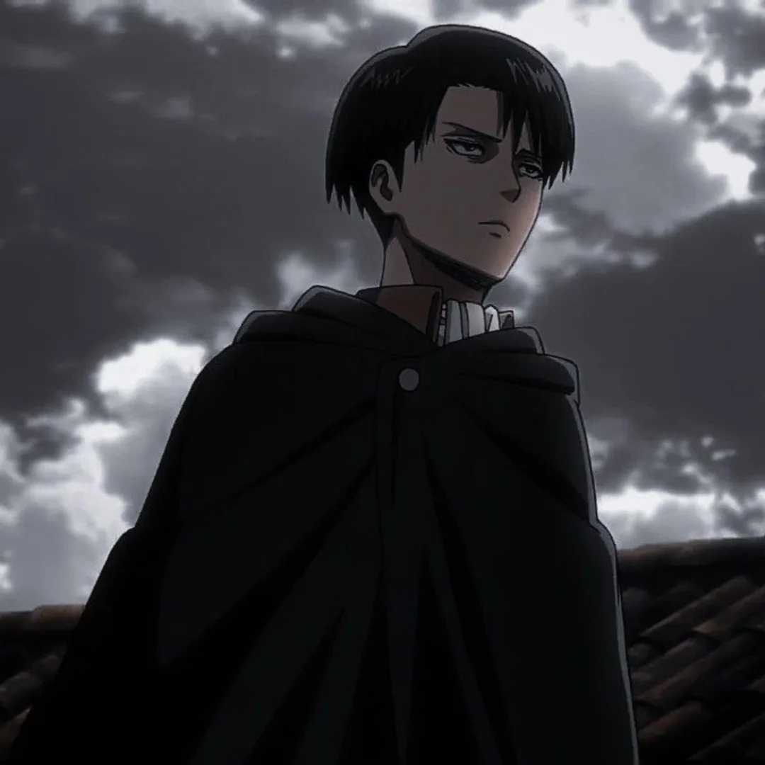 Levi Ackerman Pfp