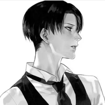 Levi Ackerman Pfp