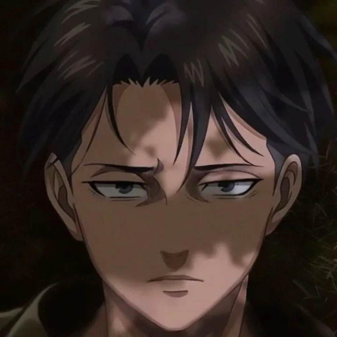 Levi Ackerman Pfp