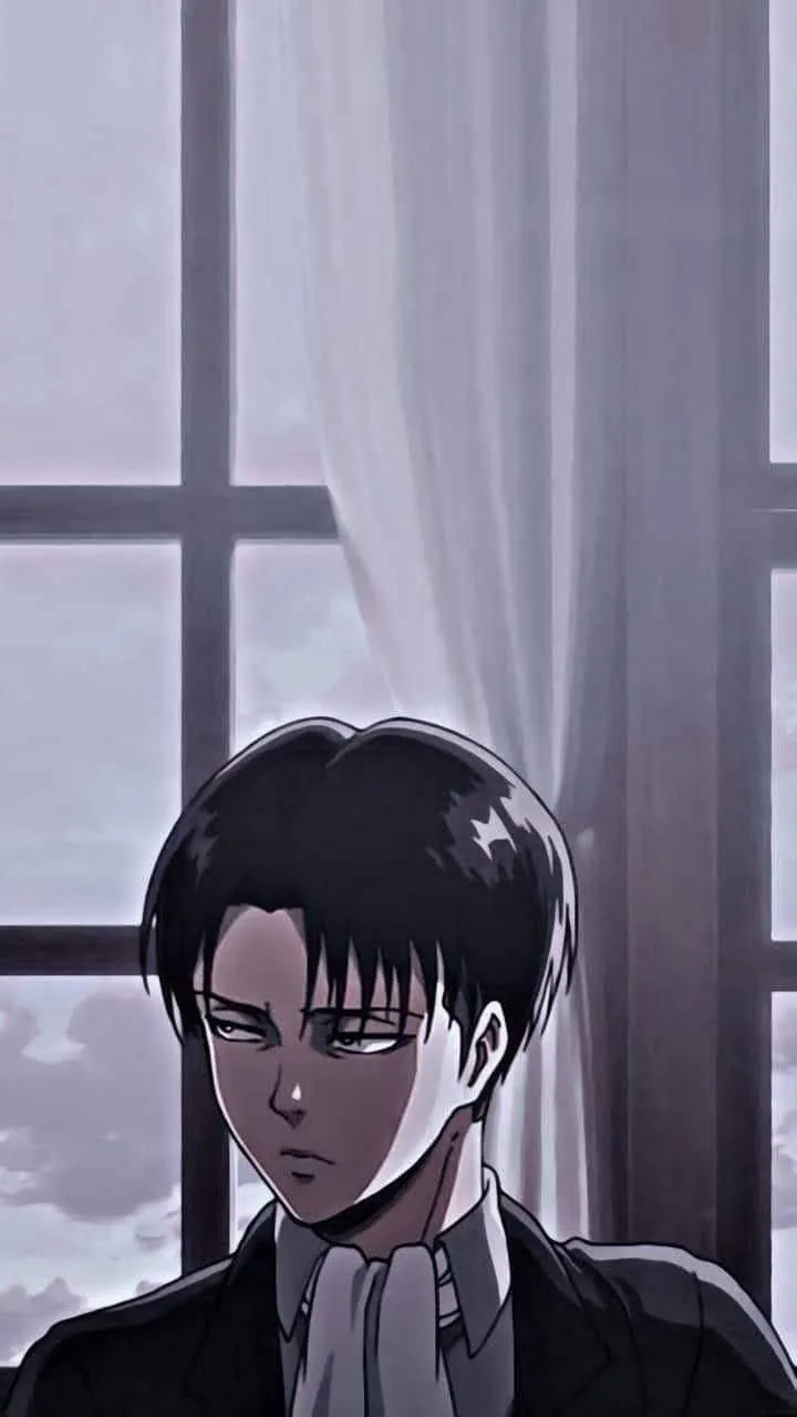 Levi Ackerman Pfp