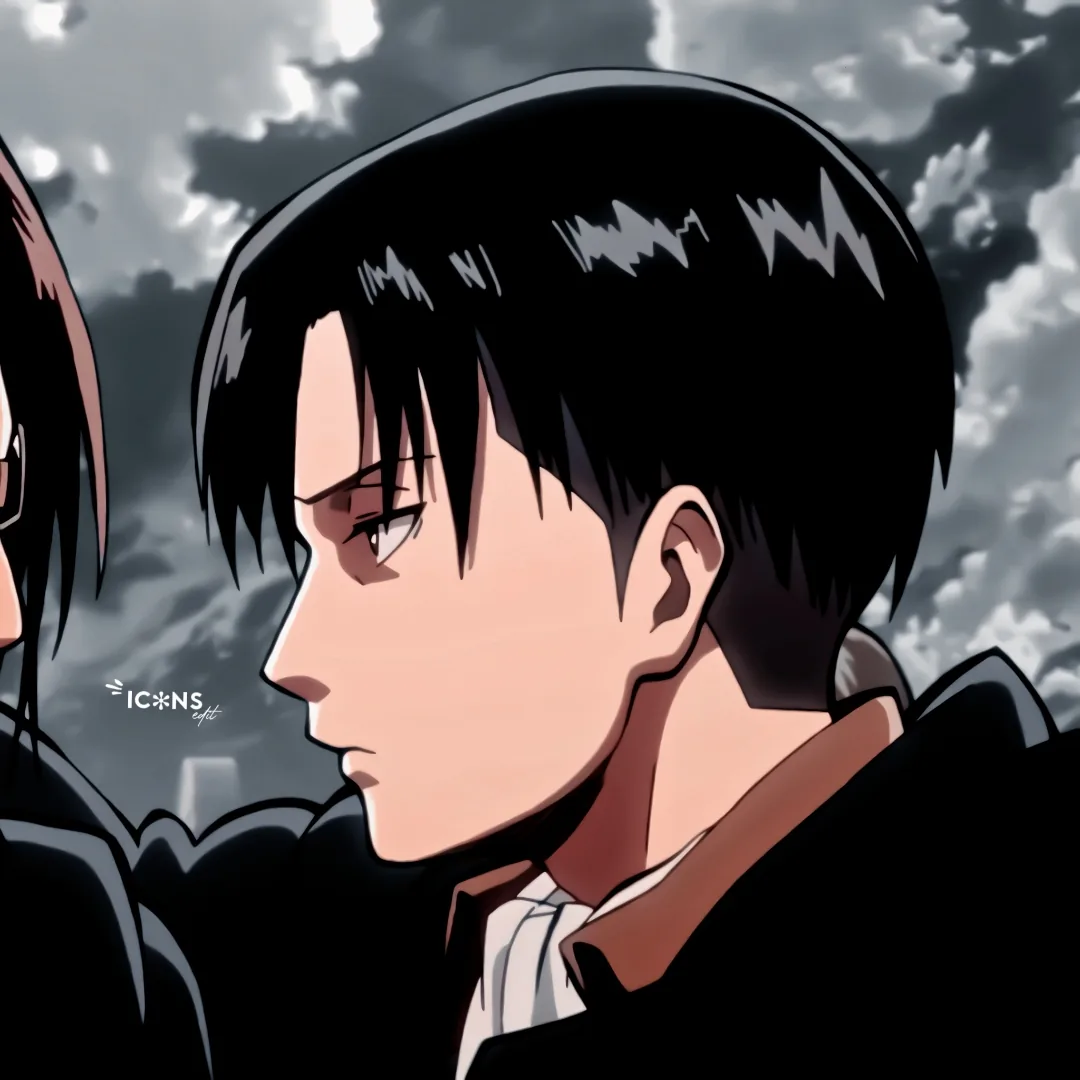 Levi Ackerman Pfp