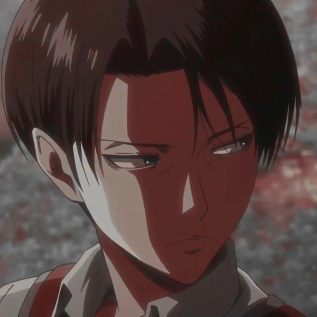 Levi Ackerman Pfp