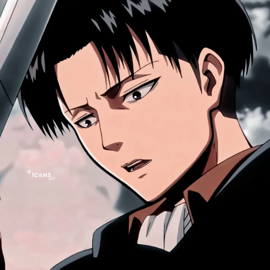 Levi Ackerman Pfp