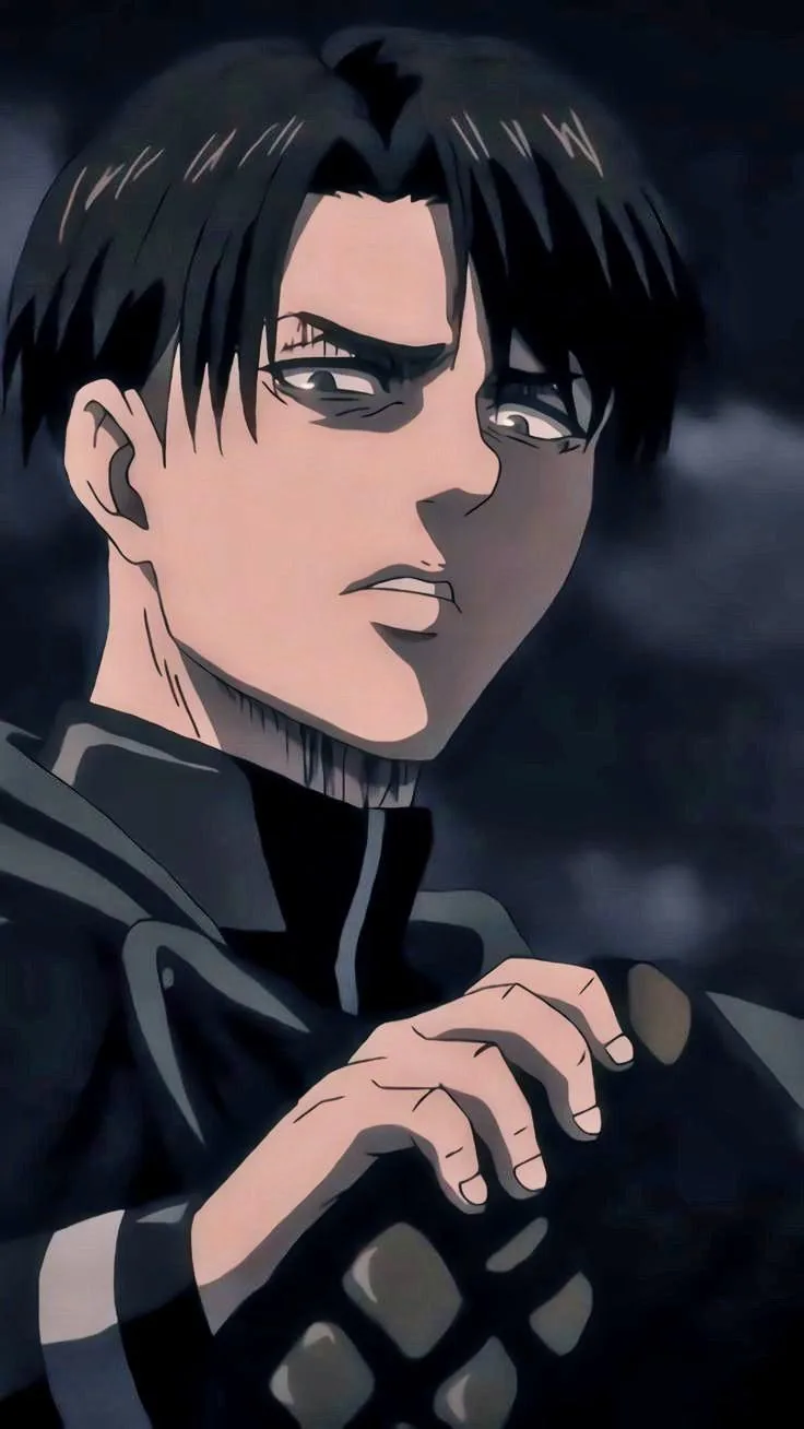 Levi Ackerman Pfp
