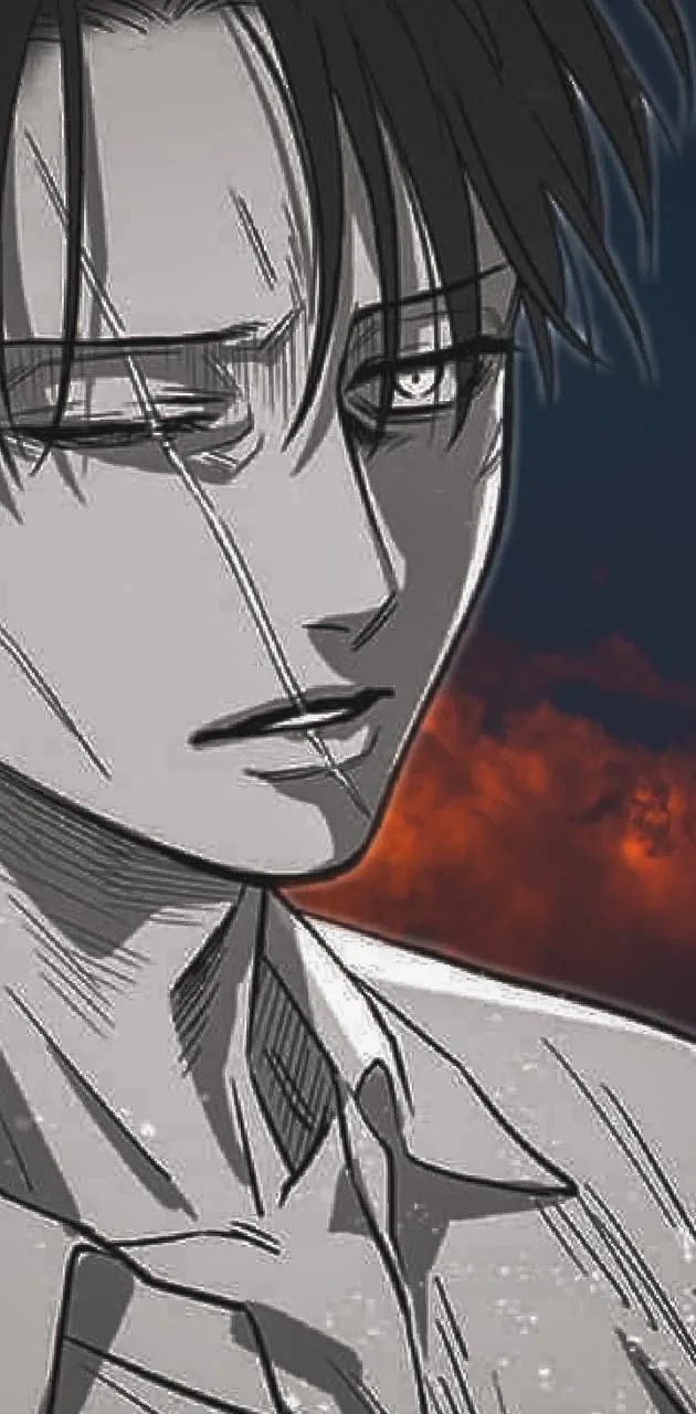 Levi Ackerman Pfp