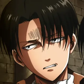 Levi Ackerman Pfp
