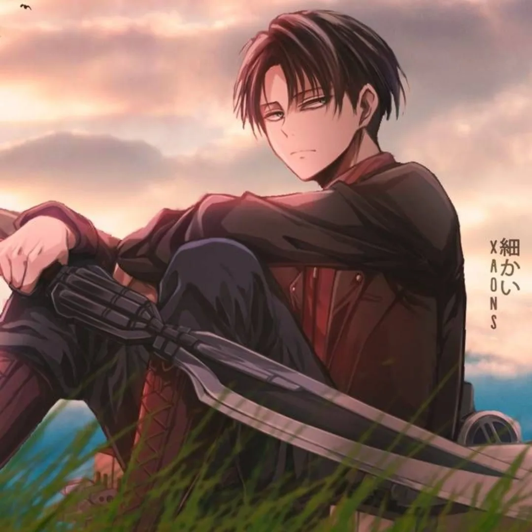 Levi Ackerman Pfp