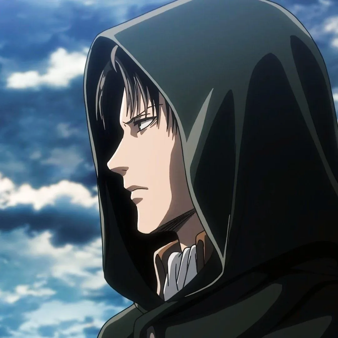 Levi Ackerman Pfp