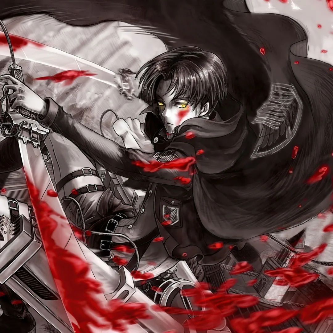 Levi Ackerman Pfp