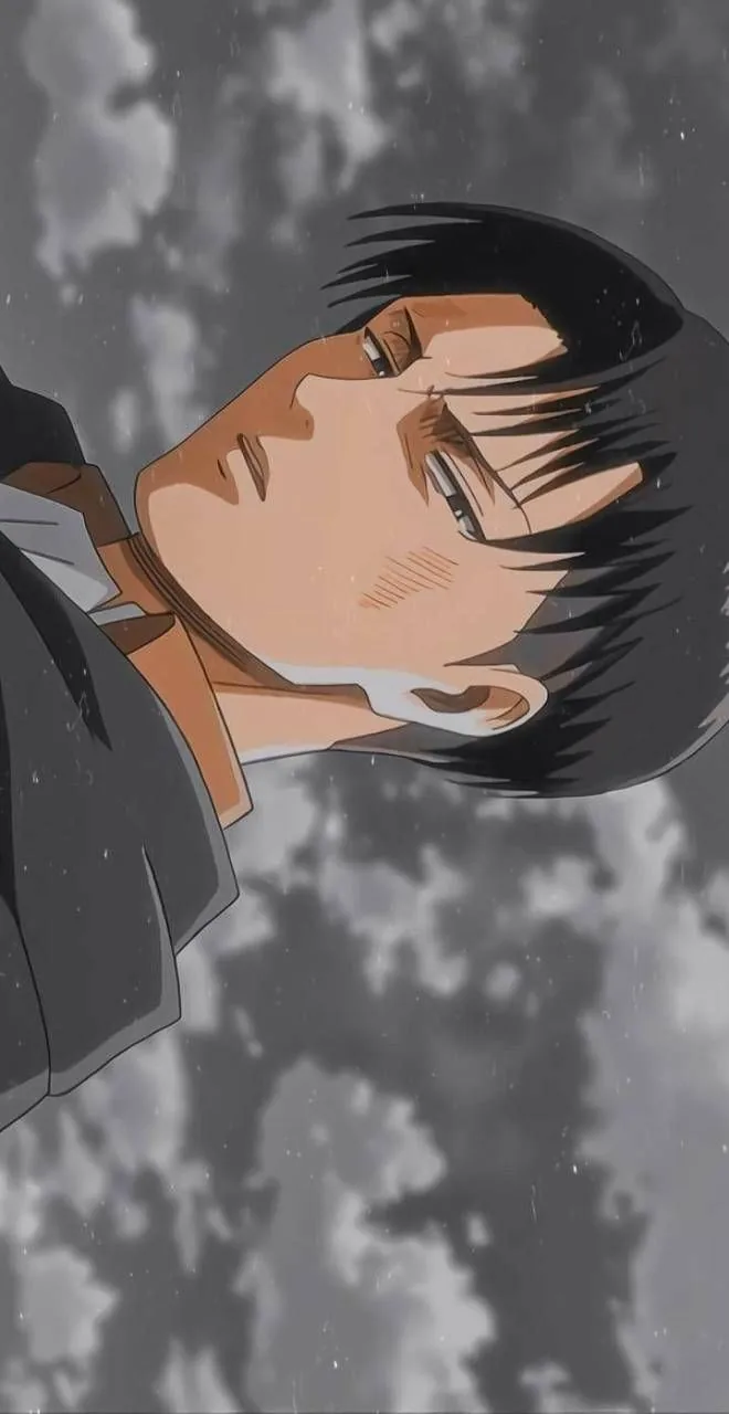 Levi Ackerman Pfp