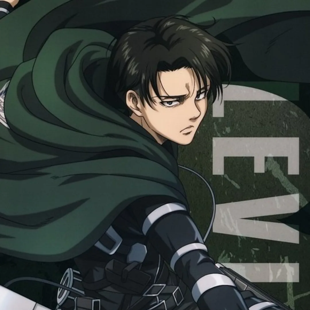 Levi Ackerman Pfp
