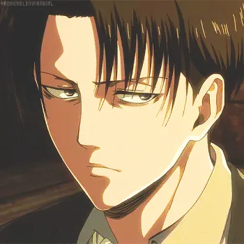 Levi Ackerman Pfp
