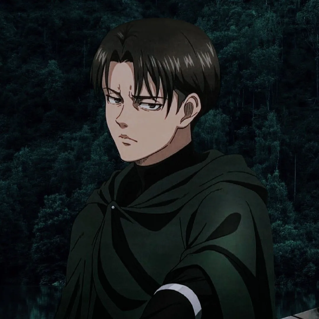 Levi Ackerman Pfp