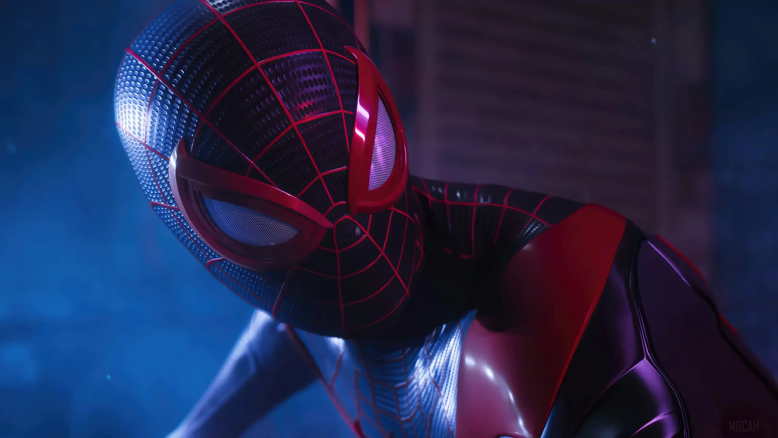 Miles Morales PFP