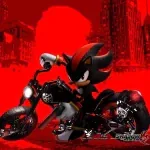 Shadow PFP