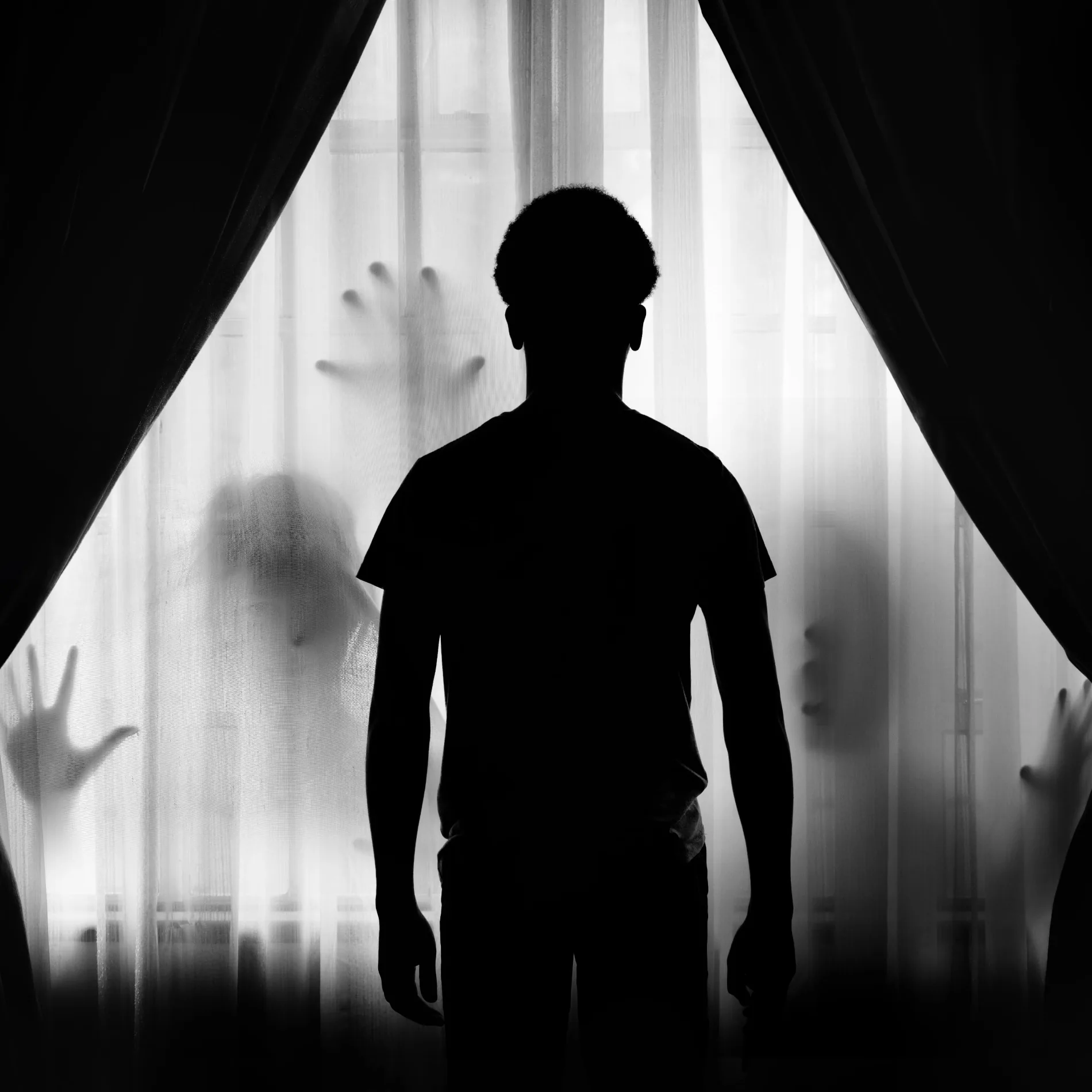 Shadow PFP