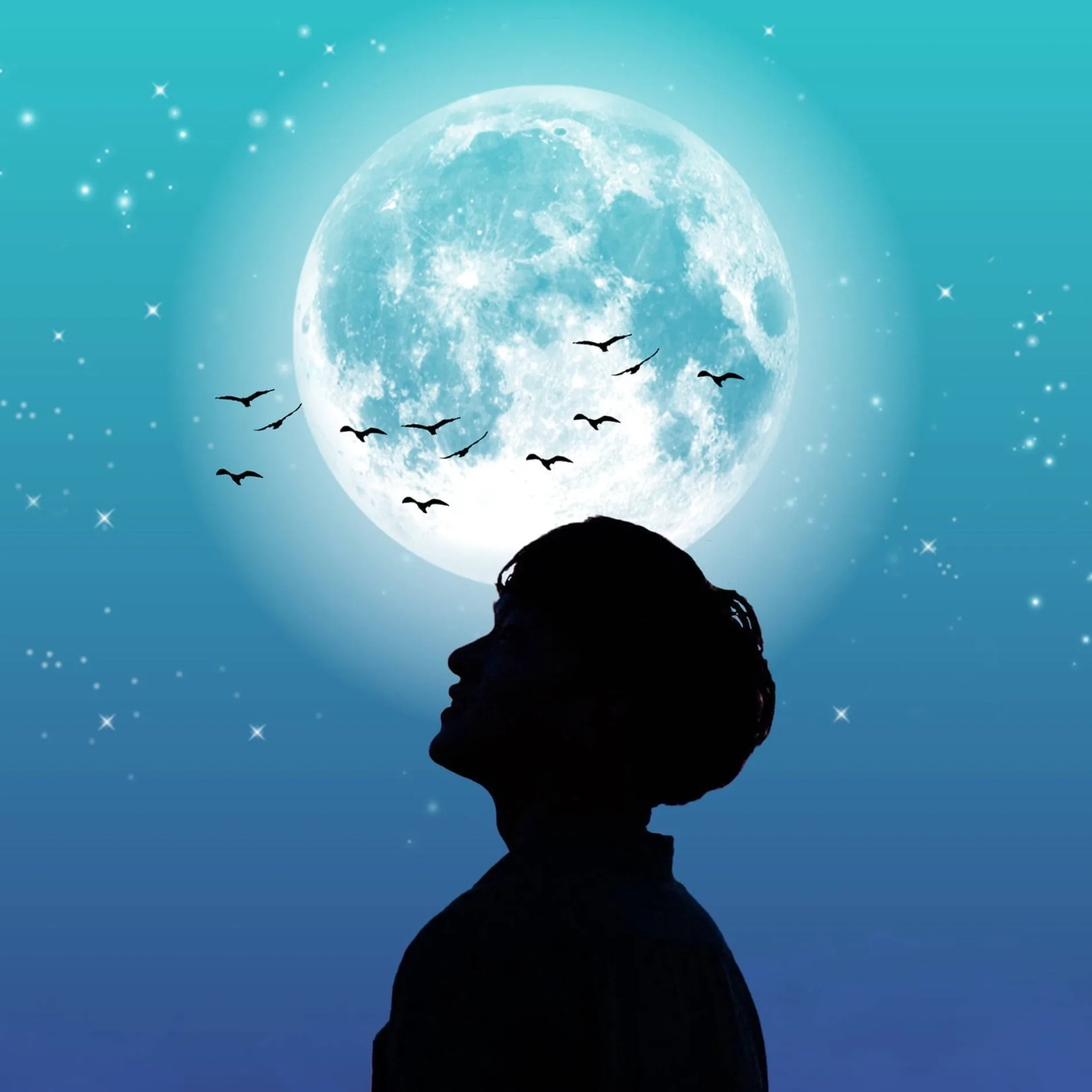 Shadow PFP