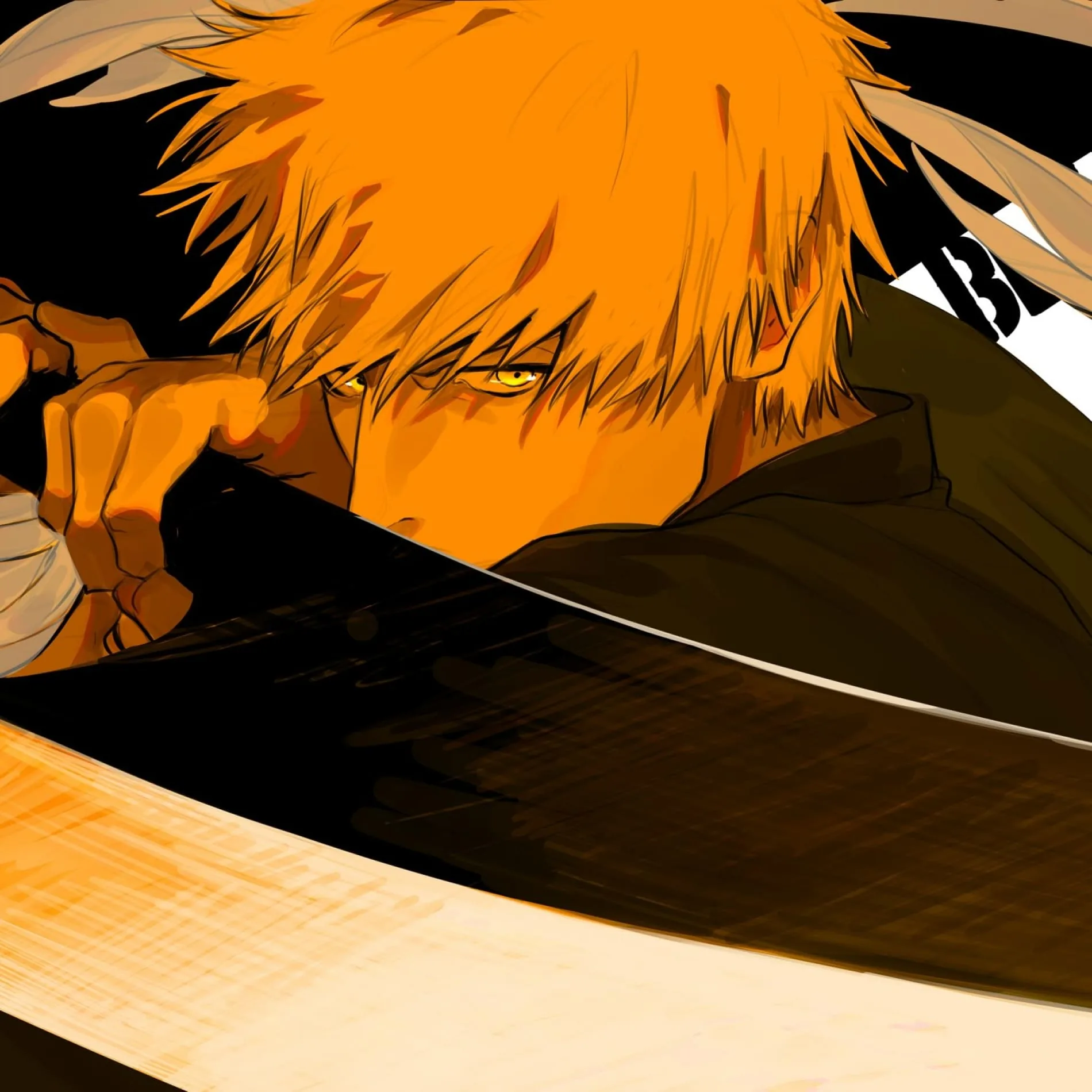Ichigo PFP
