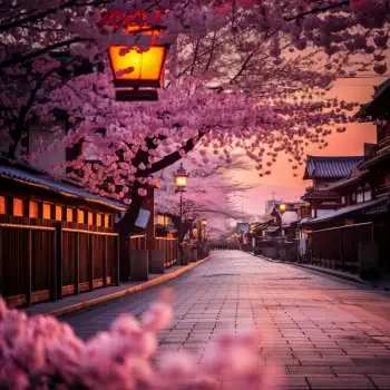 Japanese Pfp