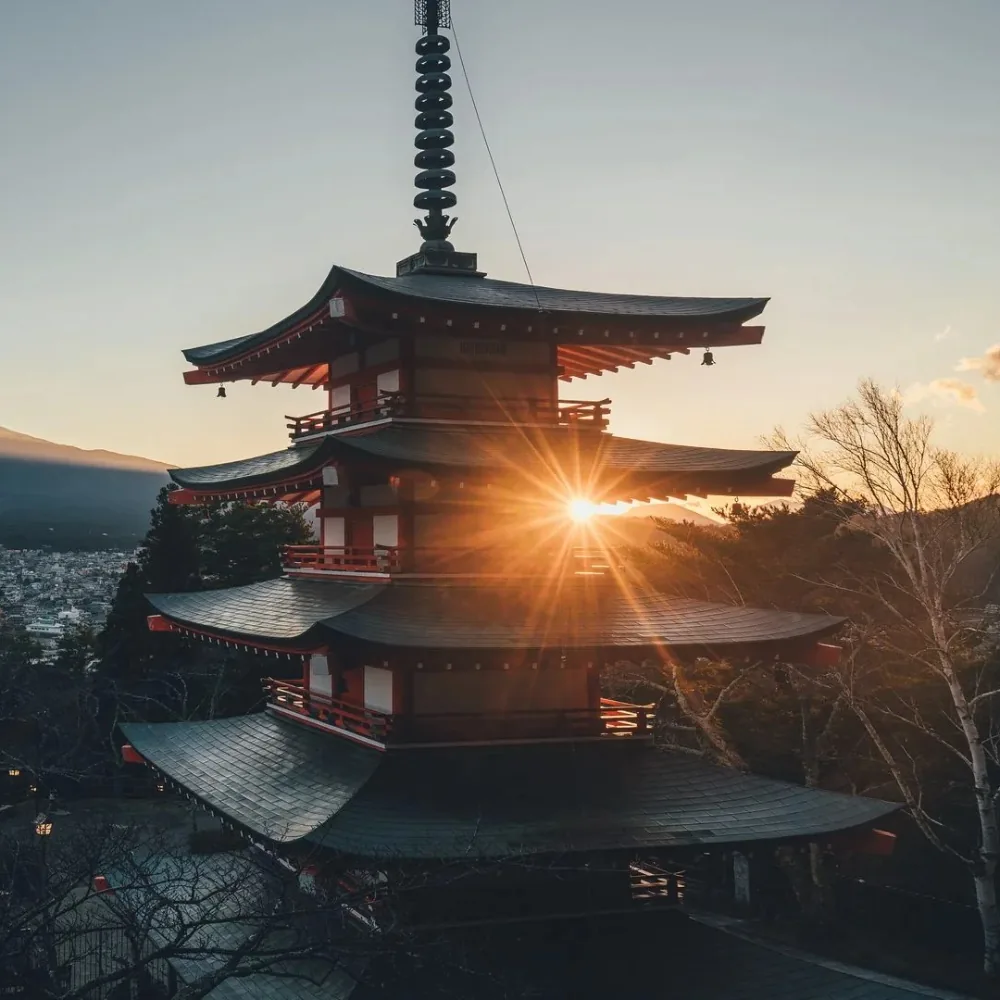 Japanese Pfp