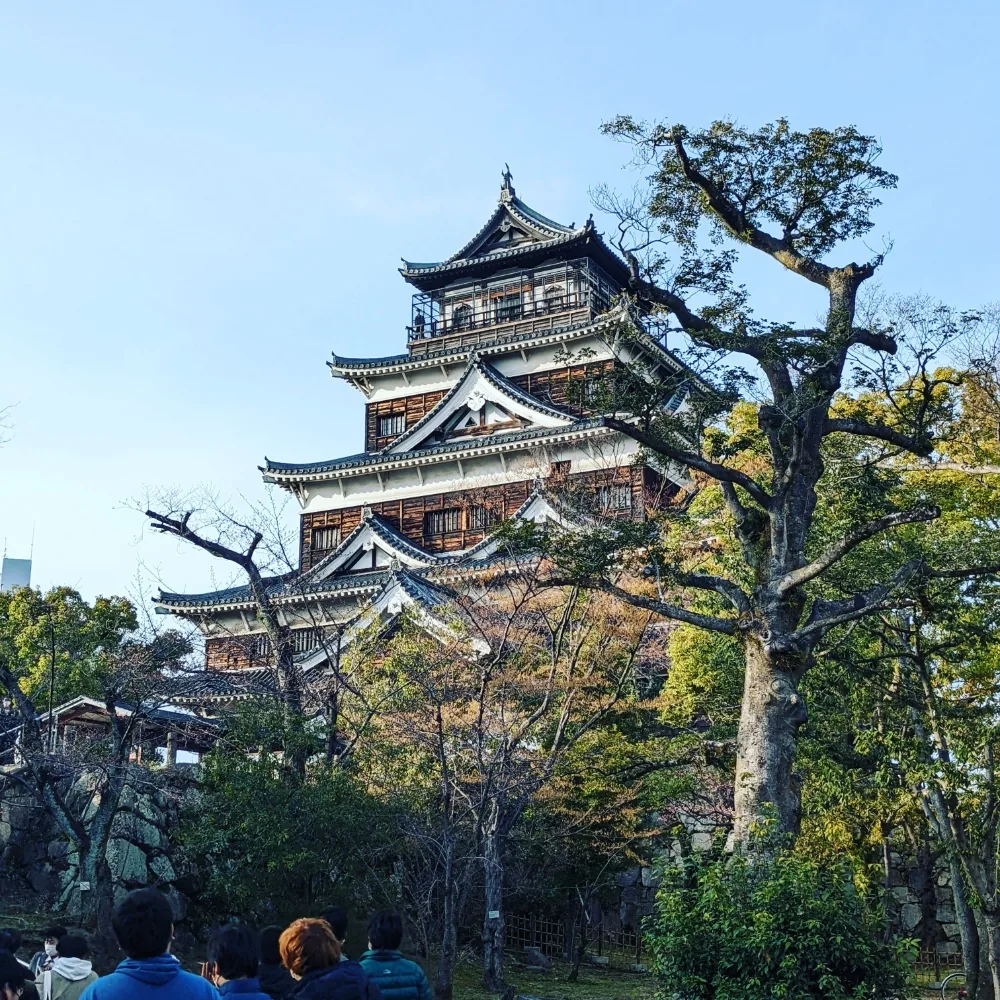 Japanese Pfp
