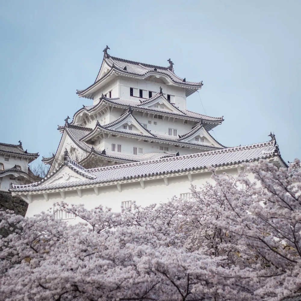 Japanese Pfp