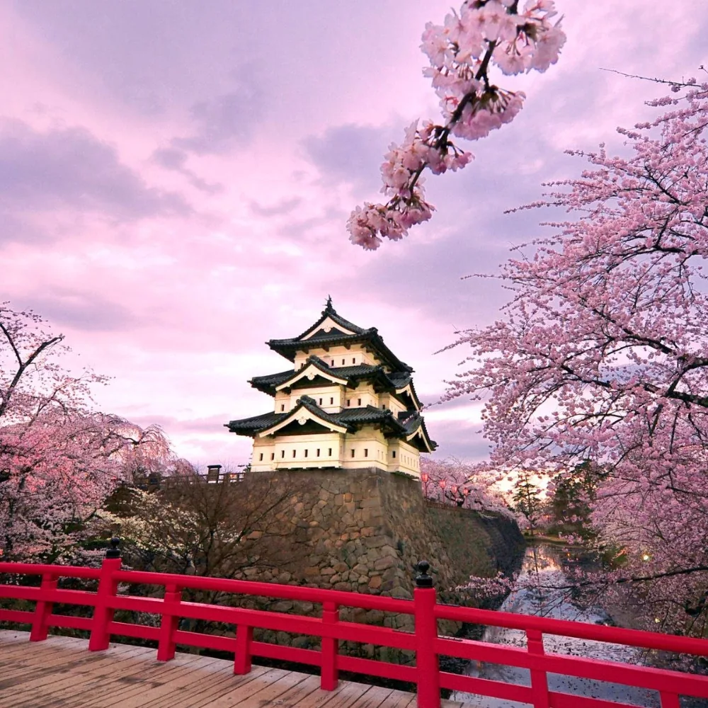Japanese Pfp