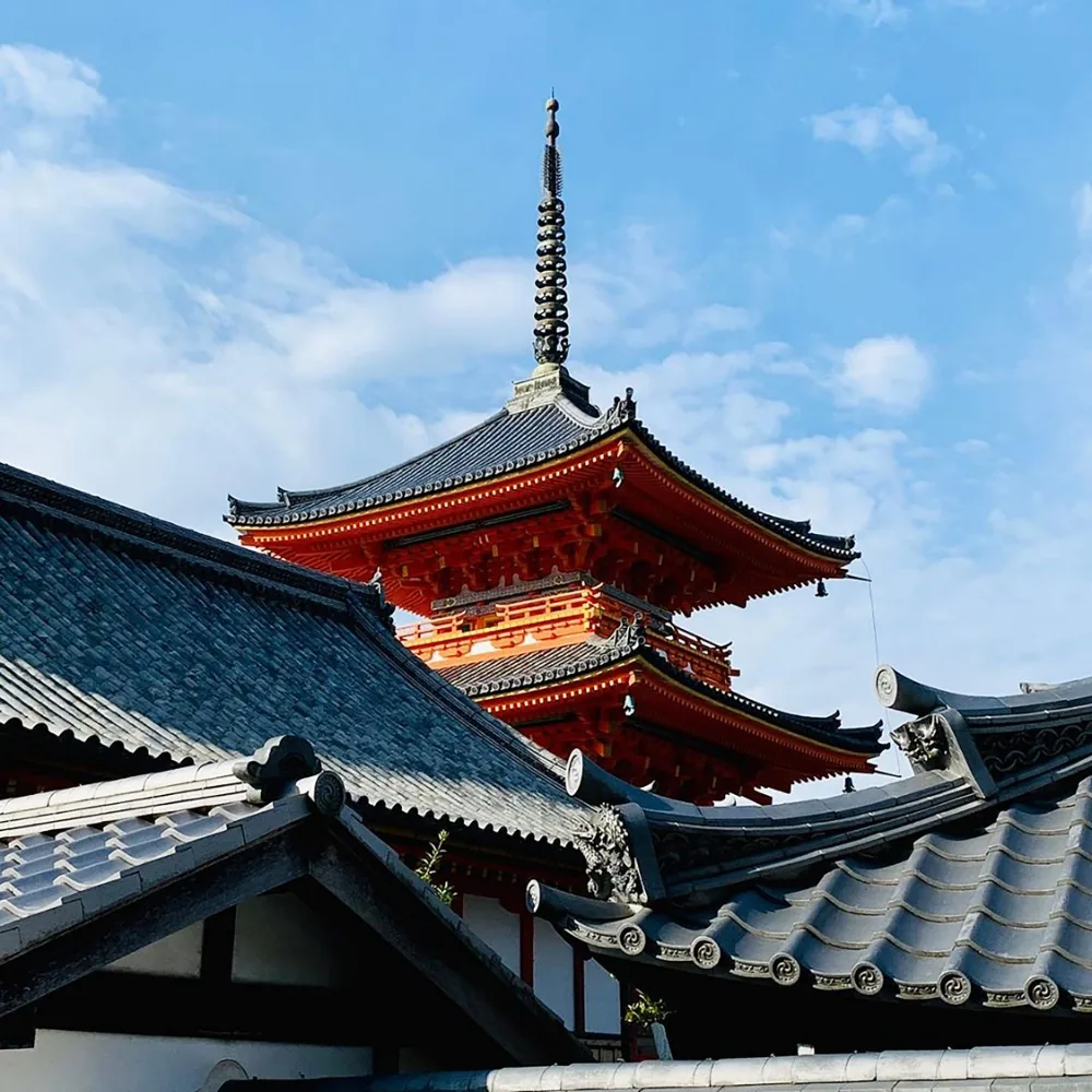 Japanese Pfp