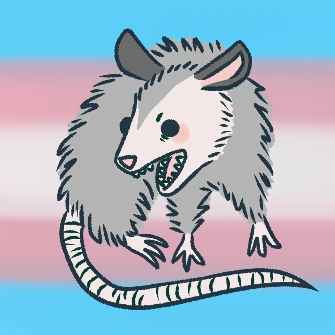 trans pfp