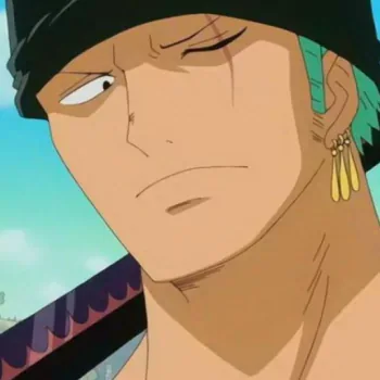 Zoro PFP