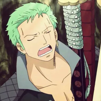 Zoro PFP