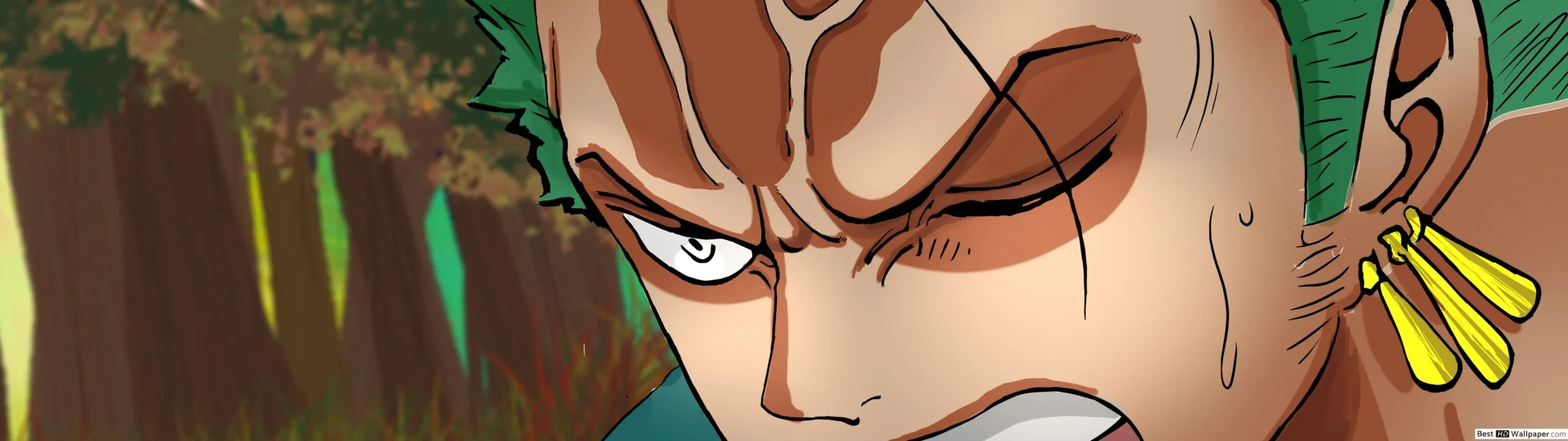 Zoro PFP