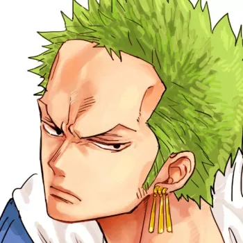 Zoro PFP