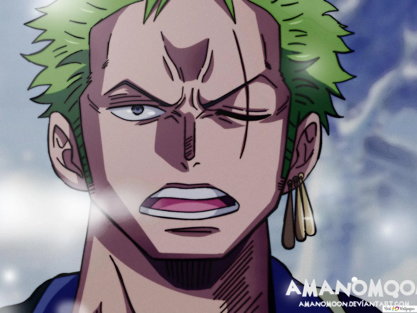 Zoro PFP