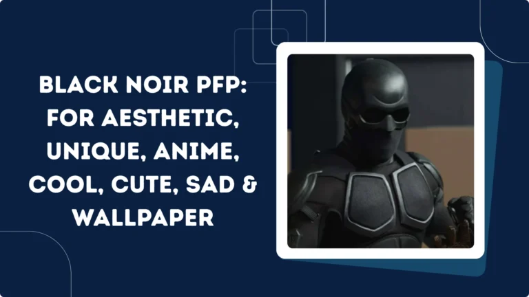 Black Noir PFP